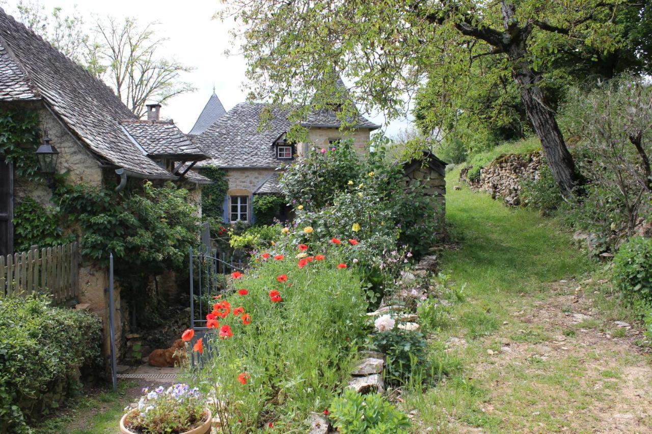 Les Terrasses De Labade Gite Et Chambres D'Hotes Coubisou エクステリア 写真
